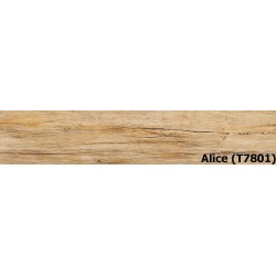 Alice (T7801)